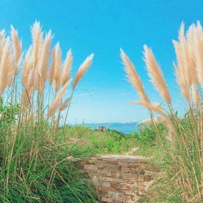 澳门新莆京游戏大厅截图